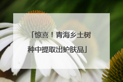 惊喜！青海乡土树种中提取出护肤品