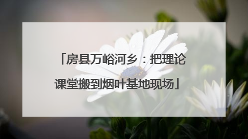 房县万峪河乡：把理论课堂搬到烟叶基地现场