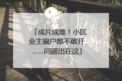 成片成堆！小区业主窗户都不敢开……问题出在这