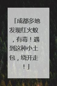 成都多地发现红火蚁，有毒！遇到这种小土包，绕开走！