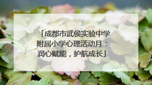 成都市武侯实验中学附属小学心理活动月：润心赋能，护航成长