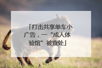 打击共享单车小广告，一“成人体验馆”被查处