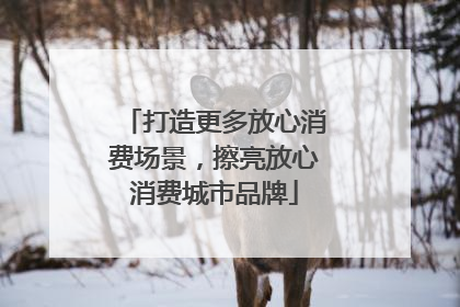 打造更多放心消费场景，擦亮放心消费城市品牌