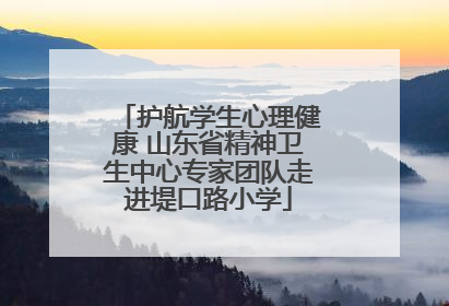 护航学生心理健康 山东省精神卫生中心专家团队走进堤口路小学