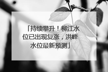 持续攀升！柳江水位已出现复涨，洪峰水位最新预测