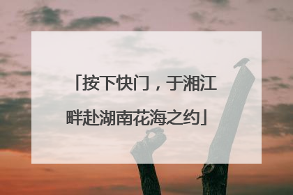按下快门，于湘江畔赴湖南花海之约
