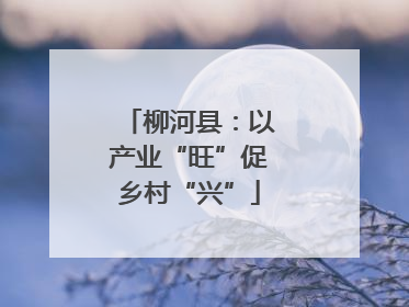 柳河县：以产业“旺”促乡村“兴”