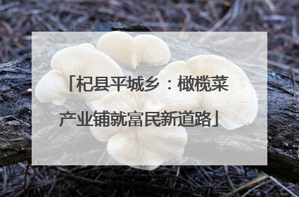 杞县平城乡：橄榄菜产业铺就富民新道路