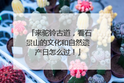 来驼铃古道，看石景山的文化和自然遗产日怎么过！