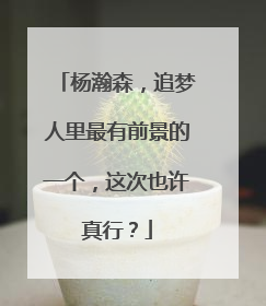 杨瀚森，追梦人里最有前景的一个，这次也许真行？