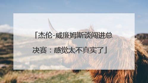 杰伦-威廉姆斯谈闯进总决赛：感觉太不真实了