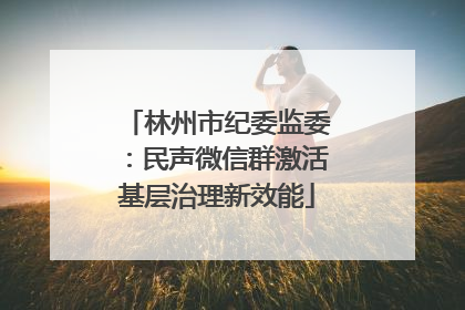 林州市纪委监委：民声微信群激活基层治理新效能