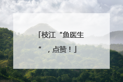 枝江“鱼医生”，点赞！