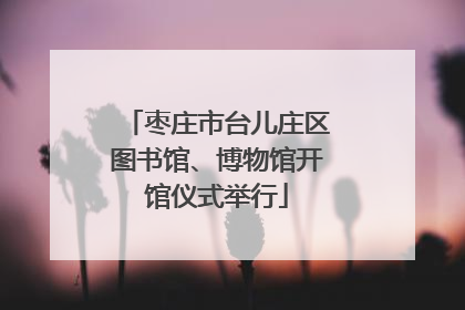 枣庄市台儿庄区图书馆、博物馆开馆仪式举行