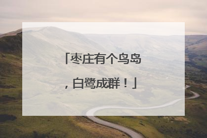 枣庄有个鸟岛，白鹭成群！