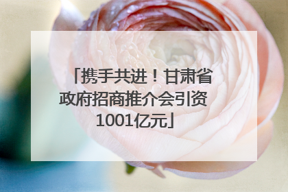 携手共进！甘肃省政府招商推介会引资1001亿元