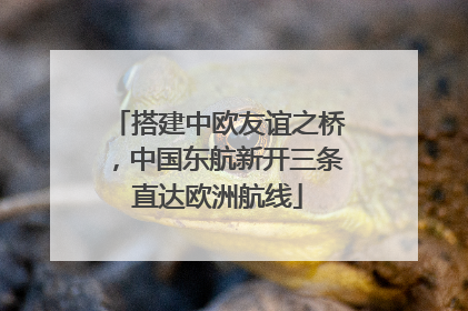 搭建中欧友谊之桥，中国东航新开三条直达欧洲航线