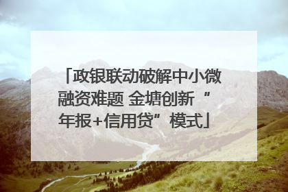 政银联动破解中小微融资难题 金塘创新“年报+信用贷”模式