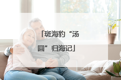斑海豹“汤圆”归海记