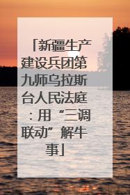 新疆生产建设兵团第九师乌拉斯台人民法庭：用“三调联动”解牛事