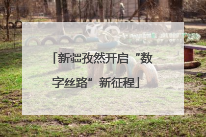 新疆孜然开启“数字丝路”新征程