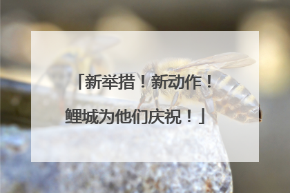 新举措！新动作！鲤城为他们庆祝！