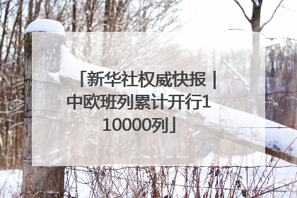 新华社权威快报｜中欧班列累计开行110000列