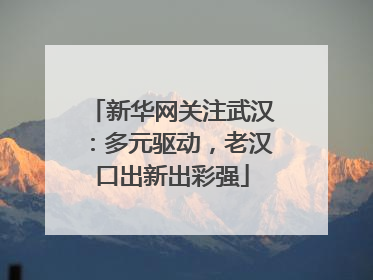 新华网关注武汉：多元驱动，老汉口出新出彩强