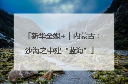 新华全媒+｜内蒙古：沙海之中建“蓝海”