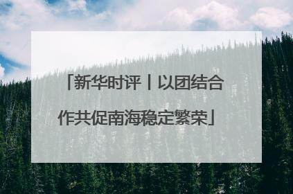 新华时评丨以团结合作共促南海稳定繁荣
