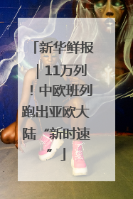 新华鲜报｜11万列！中欧班列跑出亚欧大陆“新时速”