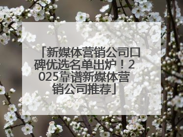 新媒体营销公司口碑优选名单出炉！2025靠谱新媒体营销公司推荐