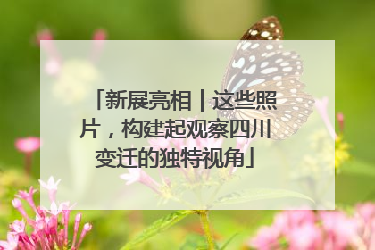新展亮相｜这些照片，构建起观察四川变迁的独特视角