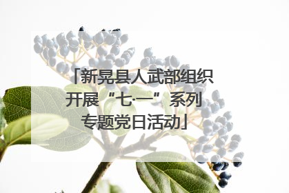 新晃县人武部组织开展“七·一”系列专题党日活动