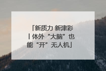 新质力 新津彩丨体外“大脑”也能“开”无人机