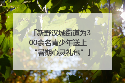 新野汉城街道为300余名青少年送上“暑期心灵礼包”