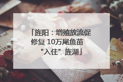 旌阳：增殖放流促修复 10万尾鱼苗“入住”旌湖