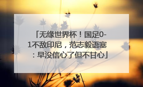 无缘世界杯！国足0-1不敌印尼，范志毅语塞：早没信心了但不甘心