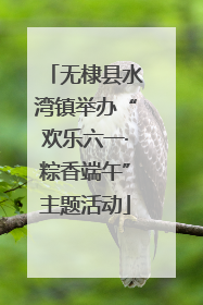 无棣县水湾镇举办“欢乐六一·粽香端午”主题活动