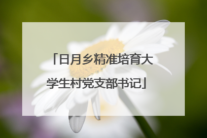 日月乡精准培育大学生村党支部书记