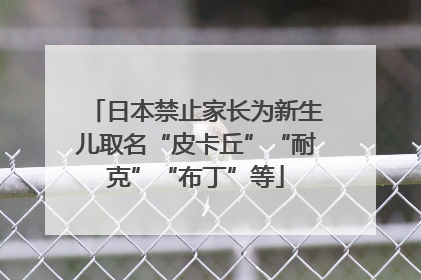 日本禁止家长为新生儿取名“皮卡丘”“耐克”“布丁”等