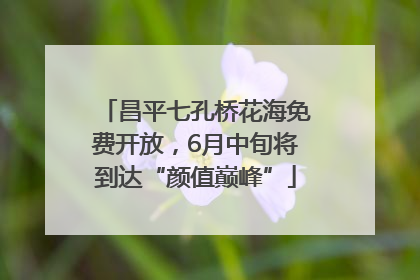 昌平七孔桥花海免费开放，6月中旬将到达“颜值巅峰”