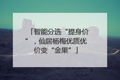 智能分选“提身价”，仙居杨梅优质优价变“金果”