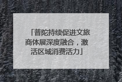 普陀持续促进文旅商体展深度融合，激活区域消费活力