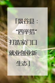 景谷县：“四举措”打造家门口就业创业新生态