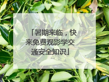 暑期来临，快来免费观影学交通安全知识