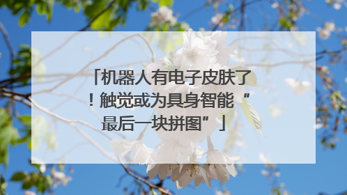 机器人有电子皮肤了！触觉或为具身智能“最后一块拼图”