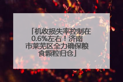 机收损失率控制在0.6%左右！济南市莱芜区全力确保粮食颗粒归仓