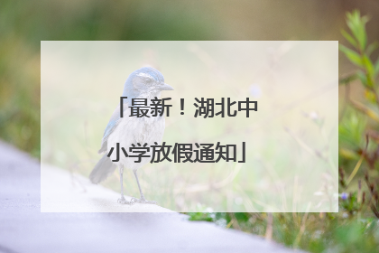 最新！湖北中小学放假通知