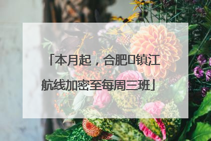 本月起，合肥⇋镇江航线加密至每周三班